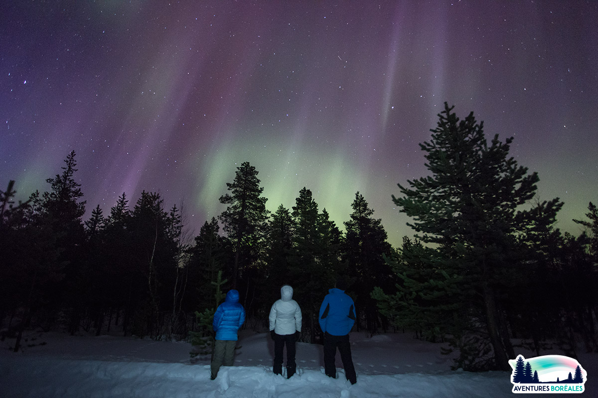 Séjour chasse aux aurores en Laponie