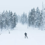 Ski de fond en Laponie