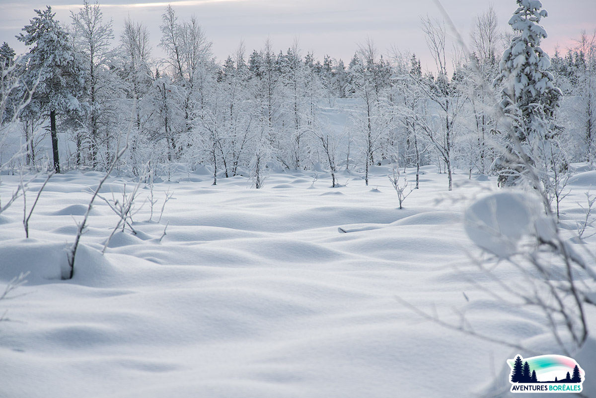 Vacances en Laponie finlandaise