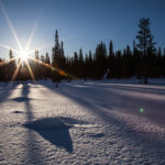 Voyage en Laponie Finlandaise